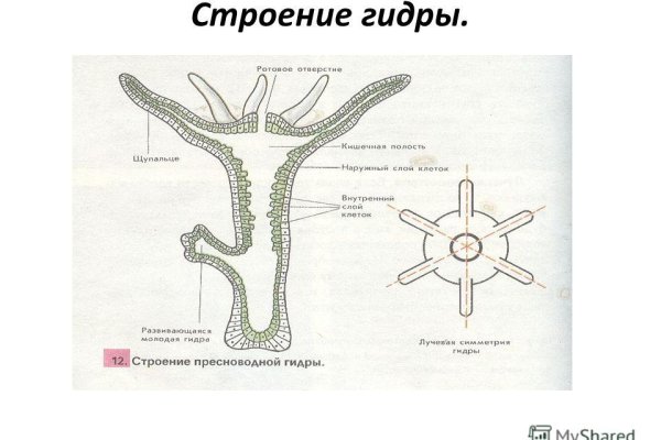 Кракен ссылка работает