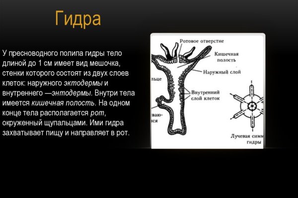 Что с кракеном сегодня сайт